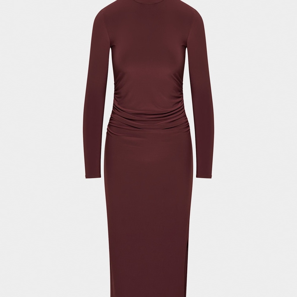 Aritzia Remedy Longsleeve Dress